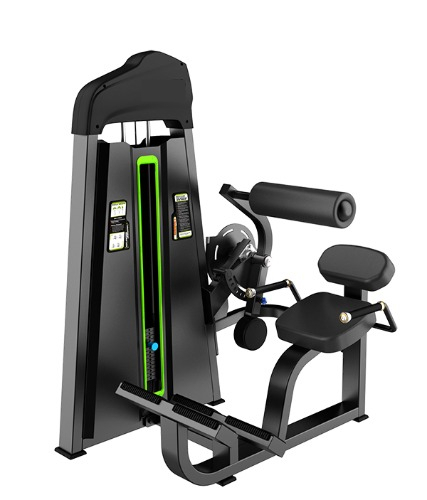 F31 Back Extension Machine | Lower Back Strengthener | Posterior Chain Developer