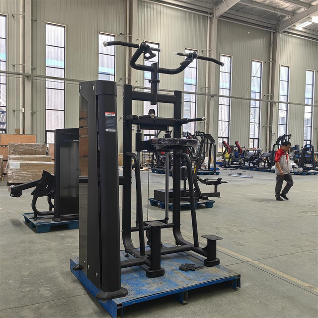 Mnd-Fh09 Dip/Chin Assist Save 20% Factory Strength Low Row Sport Machine