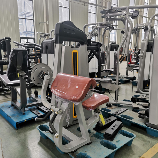 F28 Triceps Extension Machine | Arm Toner | Upper Body Strength