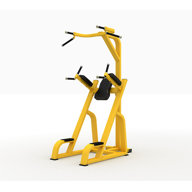 F80 Knee Raise Chin Up Station | Vertical Knee Raise | Core & Upper Body Trainer