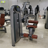 AN33 Low Row Machine | Back Developer | Rowing Equipment