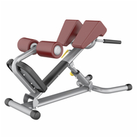 AN73 Adjustable Roman Chair | Back Extension | Core Trainer