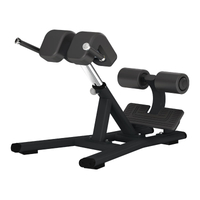F45 Back Extension Bench | Roman Chair | Core & Lower Back Developer
