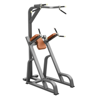 F80 Knee Raise Chin Up Station | Vertical Knee Raise | Core & Upper Body Trainer
