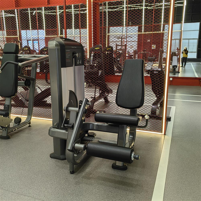 FF02 Heavy-Duty Leg Extension | ODM Quadriceps Machine | Gym Equipment Supplier