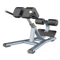 FF45 Back Extension Bench | Roman Chair | Core & Lower Back Developer