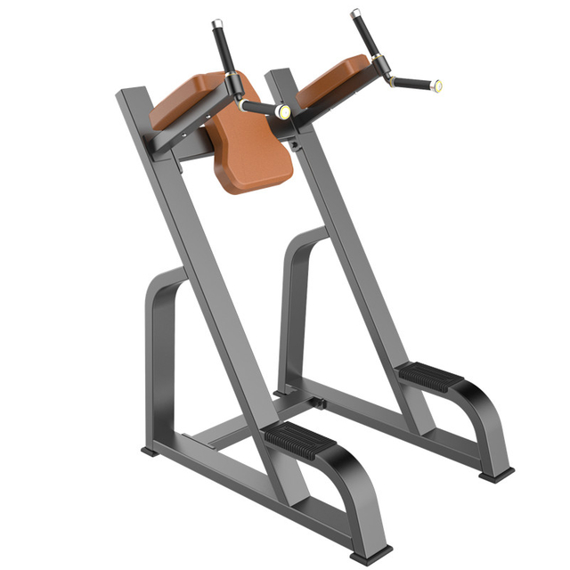 F47 Knee Raise Chin Up Station | Vertical Knee Raise | Core & Upper Body Trainer