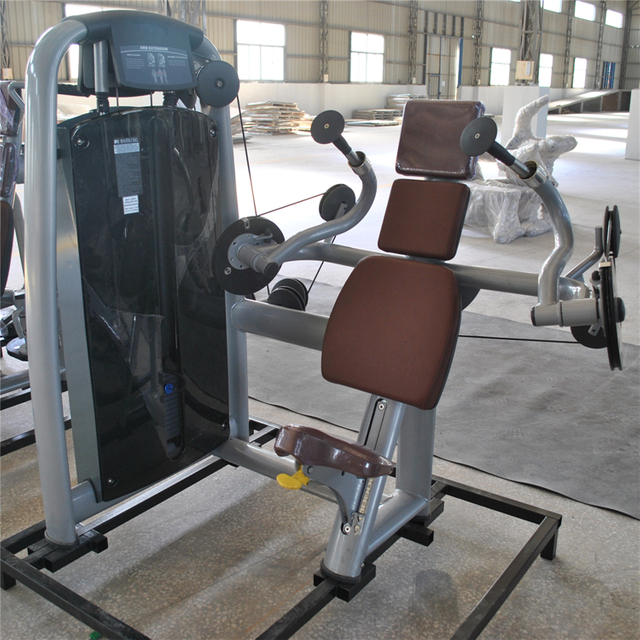 AN15 Arm Extension Machine | Triceps Builder | Upper Body Strength Equipment