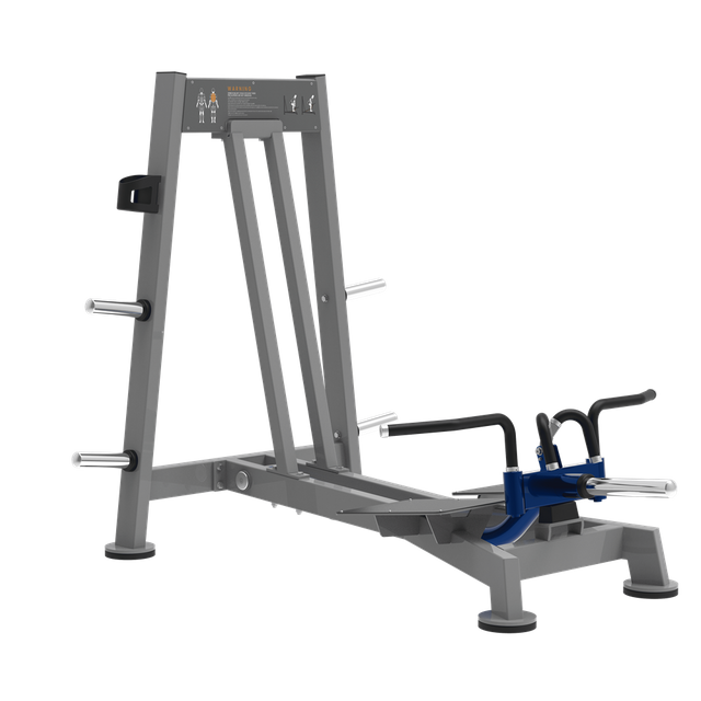 BSW-SPL22 Super Dorsy Bar | Back Hyperextension | Lower Back Equipment