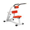 H09 Abdominal & Back Extension Machine | Core Strengthener | Lower Back Trainer