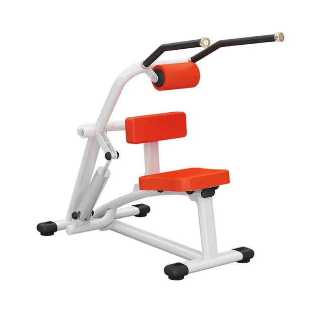 H09 Abdominal & Back Extension Machine | Core Strengthener | Lower Back Trainer