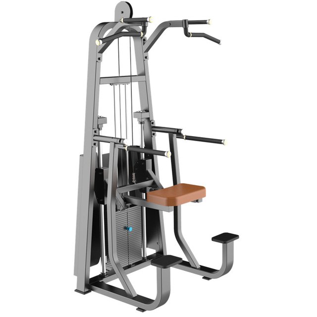 F09 Dip & Chin Assist Machine | Weight-Assisted Calisthenics | Multi-Function Trainer