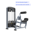 FF31 Back Extension Machine | Lower Back Strengthener | Posterior Chain Developer