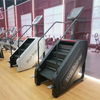 MND-X200E Stair Trainer with LCD Screen | Premium Stepper | MND FITNESS