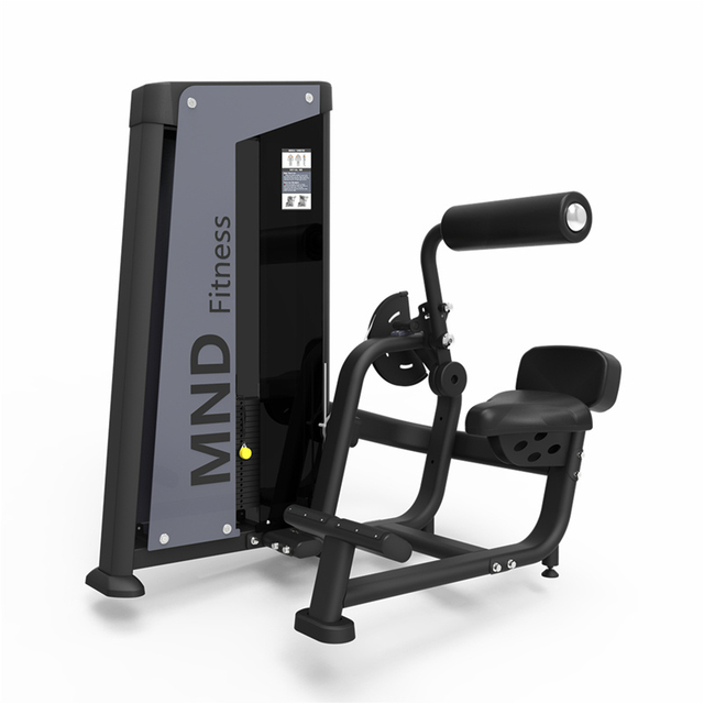 Mnd-Fh31 Back Extension Many Year Exported Experience For Total Body Training Smart Gym Equipment