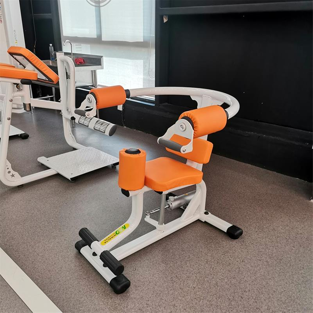 H10 Rotary Torso Machine | Oblique & Core Twister | Abdominal Rotation Trainer