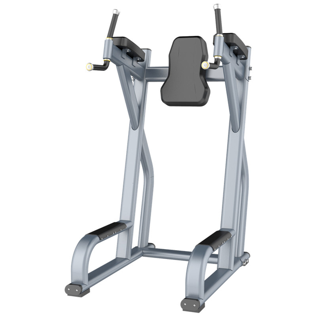 FF47 Vertical Knee Raise Station | Abdominal & Core Strengthener | Hanging Leg Raise