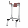 AN58 Vertical Knees Up Dip | Core & Upper Body Trainer | Commercial Gym Equipment