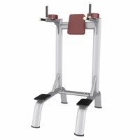 AN58 Vertical Knees Up Dip | Core & Upper Body Trainer | Commercial Gym Equipment
