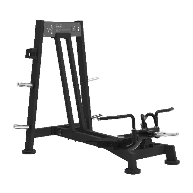 BSW-SPL22 Super Dorsy Bar | Back Hyperextension | Lower Back Equipment