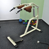 H08 Supported Squat Machine | Guided Squat Trainer | Quad Developer | Leg Equipment
