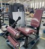 FF23 Seated Leg Curl Machine | Hamstring Isolator | Leg Trainer