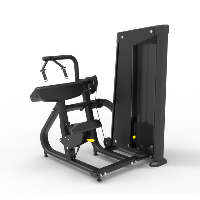 Mnd-Fh28 Triceps Extension New Arrival Gym Exercise Equipment Fitness & Gym Equipment