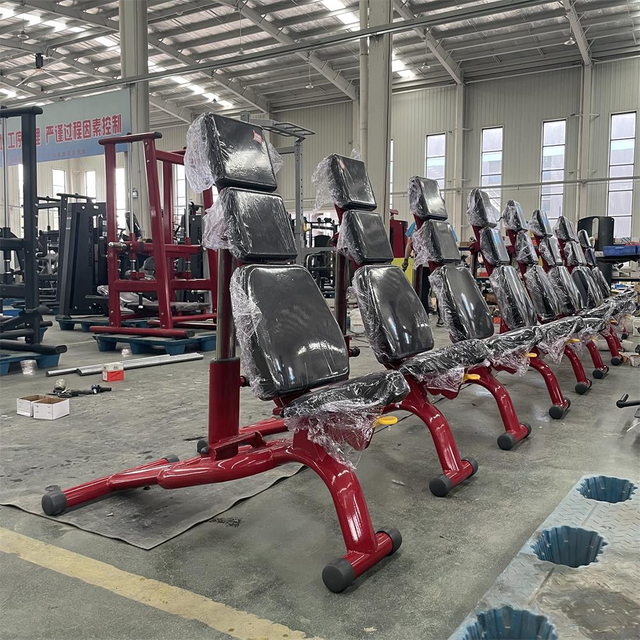 AN12 Adjustable Bench | Multi-Position Bench | Gym Training Equipment