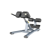 MND FH45 Roman Chair | Commercial Back Extension & Hyperextension Bench