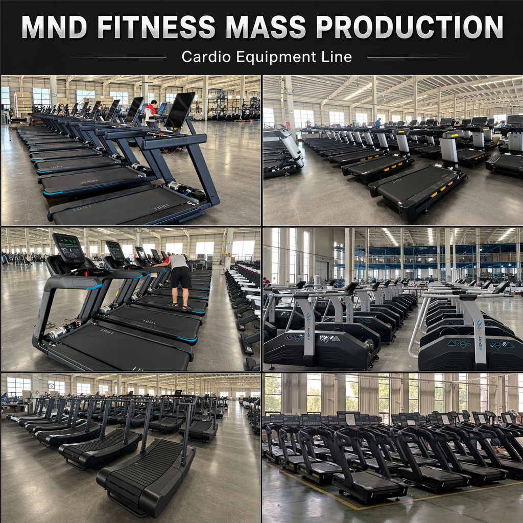 Commercial Treadmill Price Guide: What Affects the Cost?